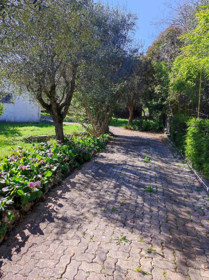 לה גוד Villa Olivaie St Ange מראה חיצוני תמונה